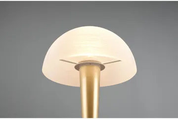 Canaria Bordslampa E14 (inkl.) mattmässing - Matt mässing - Belysning & el - Inomhusbelysning & lampor - Fönsterlampa - Fönsterlampa på fot