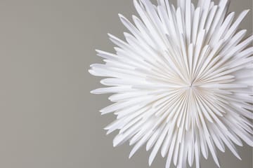 Sälen Adventsstjärna / Jullampa 60 cm - Vit - Belysning & el - Julbelysning - Julstjärnor & adventsstjärnor