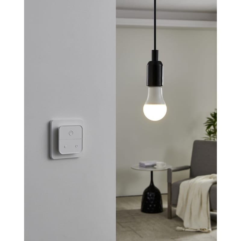 Ljuskälla 2xLM-ZIG-RGB/CCT E27 A60 9W Brytare - 6 cm - Belysning & el - Ljuskällor & glödlampor - LED-belysning - LED-lampa