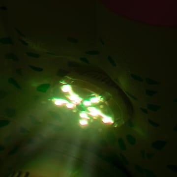 7-Color LED-light Vit - Belysning & el - Utomhusbelysning