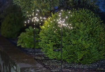 Firework Solar 2 pack Solcellsdekoration 60 cm - svart - Belysning & el - Utomhusbelysning - Solcellslampa & solcellsbelysning