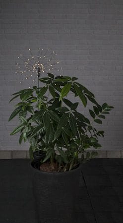 Firework Solar Solcellsdekoration 26 cm - svart - Belysning & el - Utomhusbelysning - Solcellslampa & solcellsbelysning