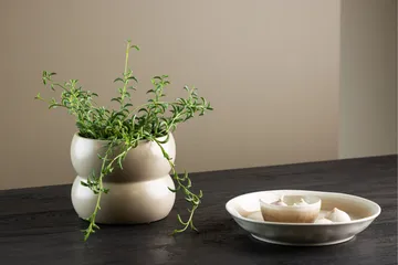 Dapne Kruka - Beige - Inredning - Kruka & ytterkruka