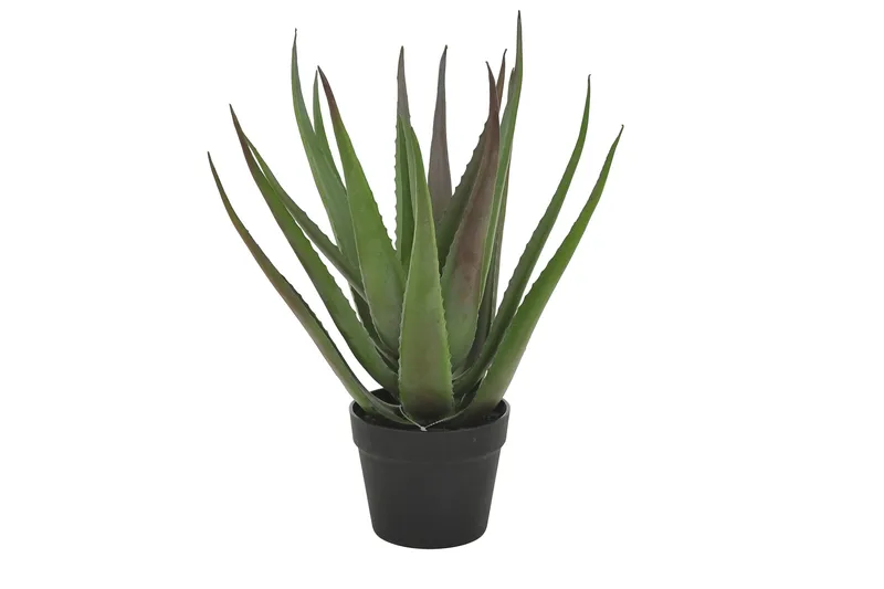 Piscode Konstgjord Växt Aloevera 50 cm - Grön - Inredning - Konstgjorda växter & plastväxter