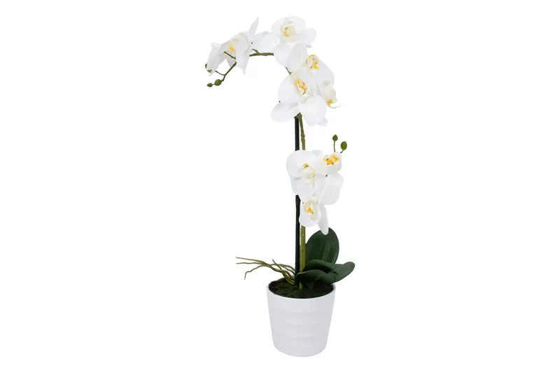 Vit Orkidea 51 cm på Vit Kruka