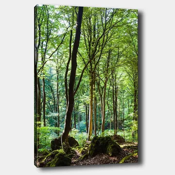 Canvastavla 70x100 cm - Lummig skog med höga träd och grönskande vegetation - Grön / Brun - Inredning - Tavlor & konst - Canvastavlor