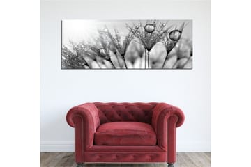 Canvastavla 80x30 cm - Svartvit bild av vattendroppar på fjädrar - Svart / Vitt / Grått - Inredning - Tavlor & konst - Canvastavlor