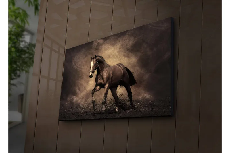 Canvastavla med LED-belysning 45x70 cm - Stolt häst i rörelse, Mörkbrun / Beige / Svart