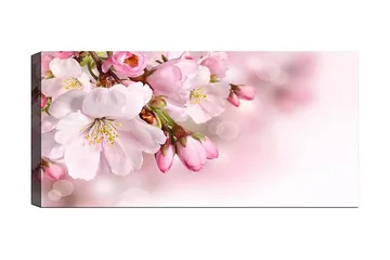 Canvastavla YTY Floral & Botanical Flerfärgad - 120x50 cm - Inredning - Tavlor & konst - Canvastavlor