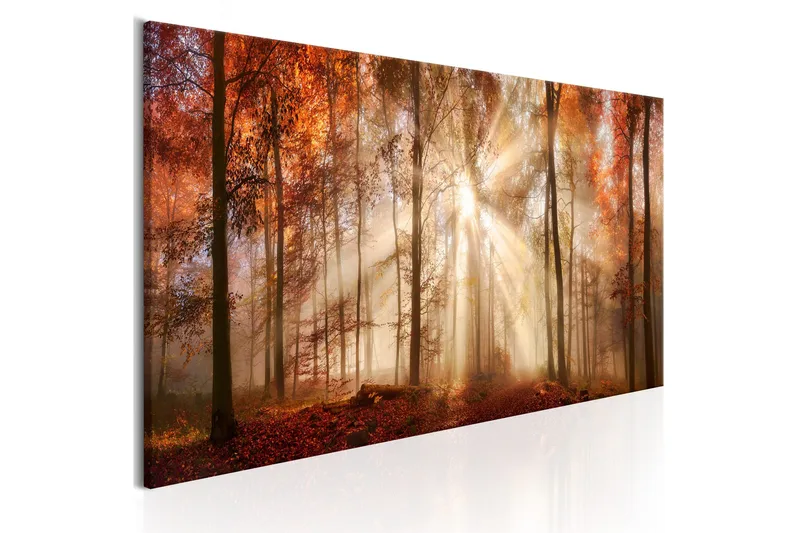Tavla Autumnal Dawn 150x50 - Artgeist sp. z o. o. - Inredning - Tavlor & konst - Canvastavlor