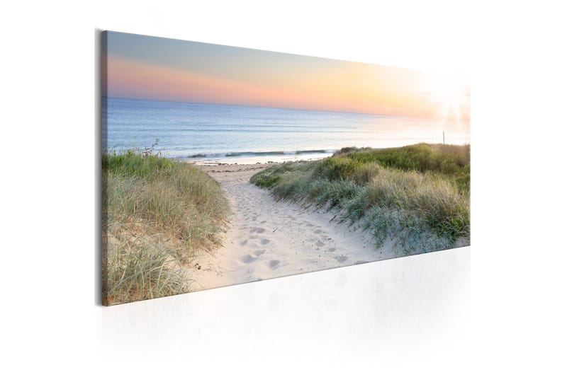 Tavla Beautiful Path 120x40 - Artgeist sp. z o. o. - Inredning - Tavlor & konst - Canvastavlor