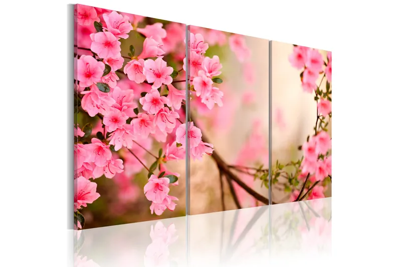 Tavla Cherry Flower 60x40 - Artgeist sp. z o. o. - Inredning - Tavlor & konst - Canvastavlor