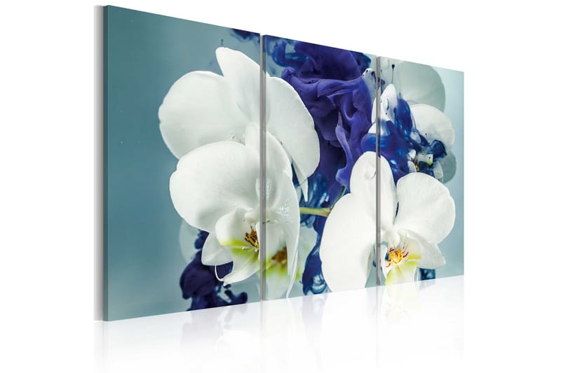 Tavla Chimär orkidéer 90x60 - Artgeist sp. z o. o. - Inredning - Tavlor & konst - Canvastavlor