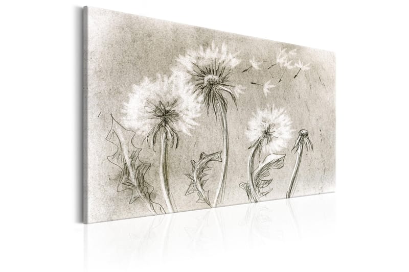 Tavla Dandelions (Pencil Artwork) 120x80 - Artgeist sp. z o. o. - Inredning - Tavlor & konst - Canvastavlor