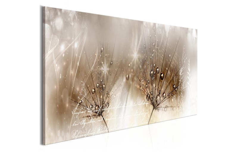 Tavla Drops Of Dew 1 Part Brown Narrow 150x50, Artgeist sp. z o. o.