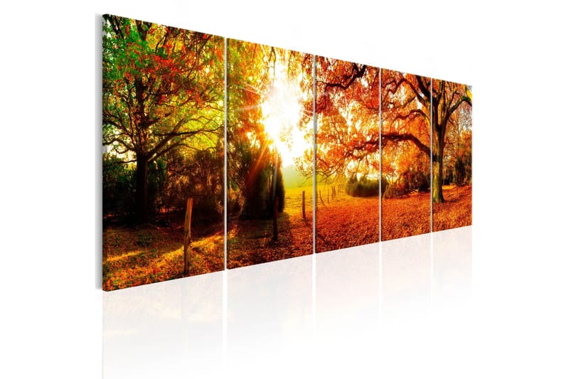 Tavla Enchanting Autumn 200x80 - Artgeist sp. z o. o. - Inredning - Tavlor & konst - Canvastavlor