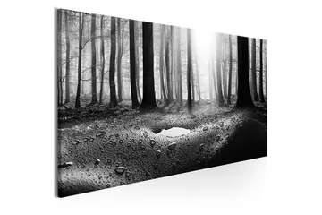 Tavla Forest after Rain (1 Part) Narrow 150x50 - Inredning - Tavlor & konst - Canvastavlor