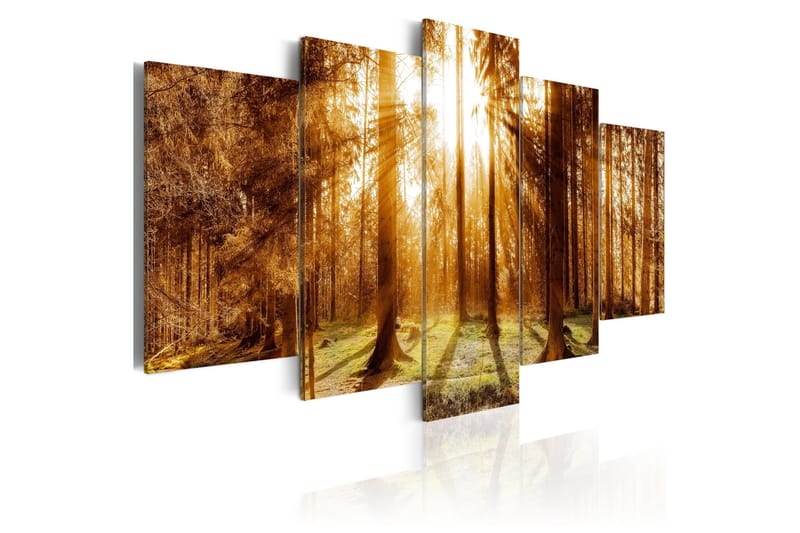 Tavla Forest Illumination 200x100 - Artgeist sp. z o. o. - Inredning - Tavlor & konst - Canvastavlor