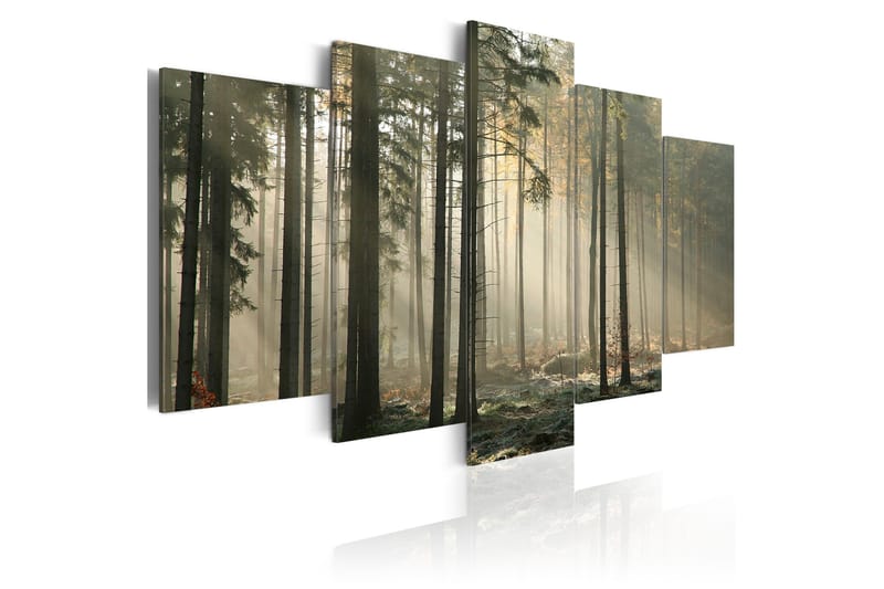 Tavla Light In A Dark Forest 200x100 - Artgeist sp. z o. o. - Inredning - Tavlor & konst - Canvastavlor