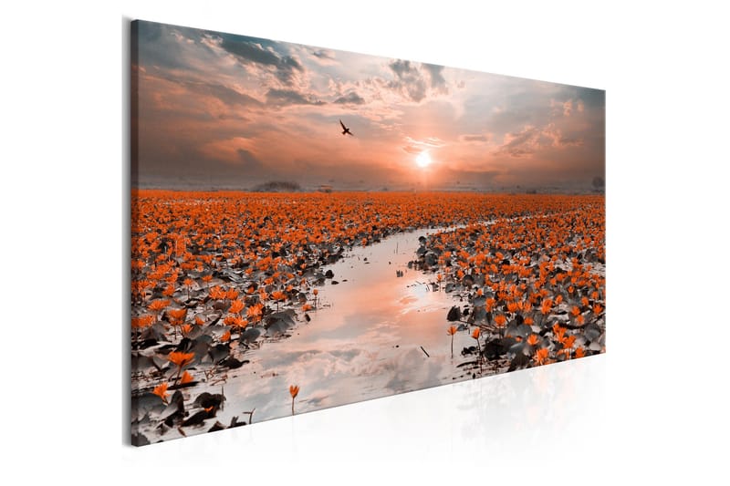 Tavla Lily Pathway (1 Part) Narrow 120x40 cm - Inredning - Tavlor & konst - Canvastavlor