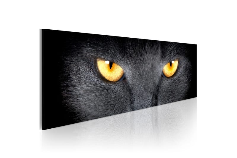Tavla Look Into My Eyes 135x45 cm - Inredning - Tavlor & konst - Canvastavlor