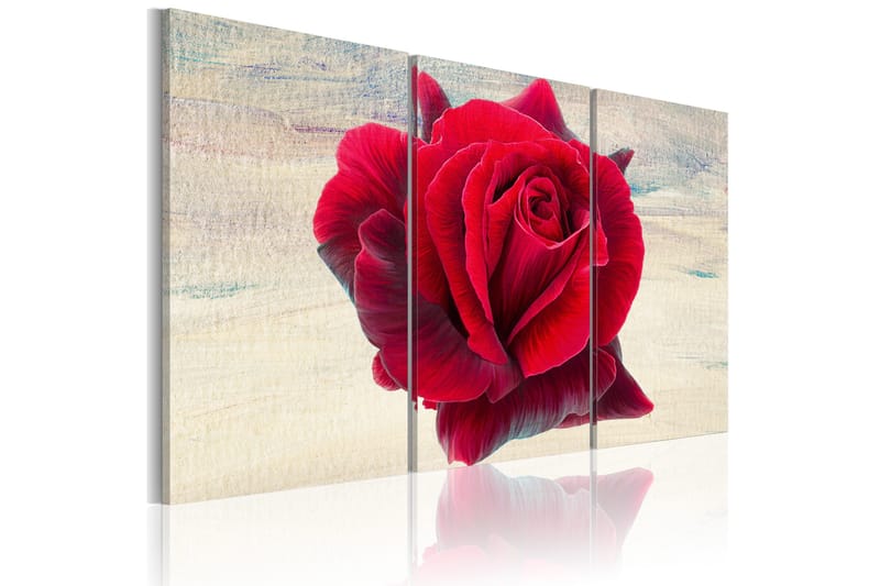 Tavla Lyrical rose 90x60 - Artgeist sp. z o. o. - Inredning - Tavlor & konst - Canvastavlor