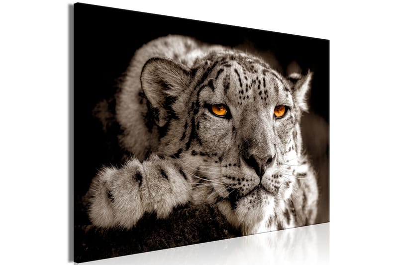 Tavla Magic Eyes (1 Part) Wide 90x60 - Artgeist sp. z o. o. - Inredning - Tavlor & konst - Canvastavlor