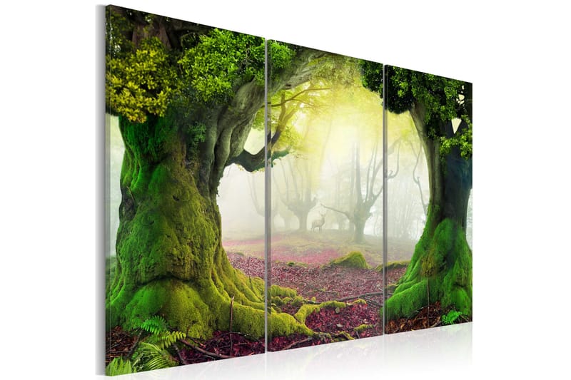 Tavla Mysterious Forest Triptych 60x40 - Artgeist sp. z o. o. - Inredning - Tavlor & konst - Canvastavlor