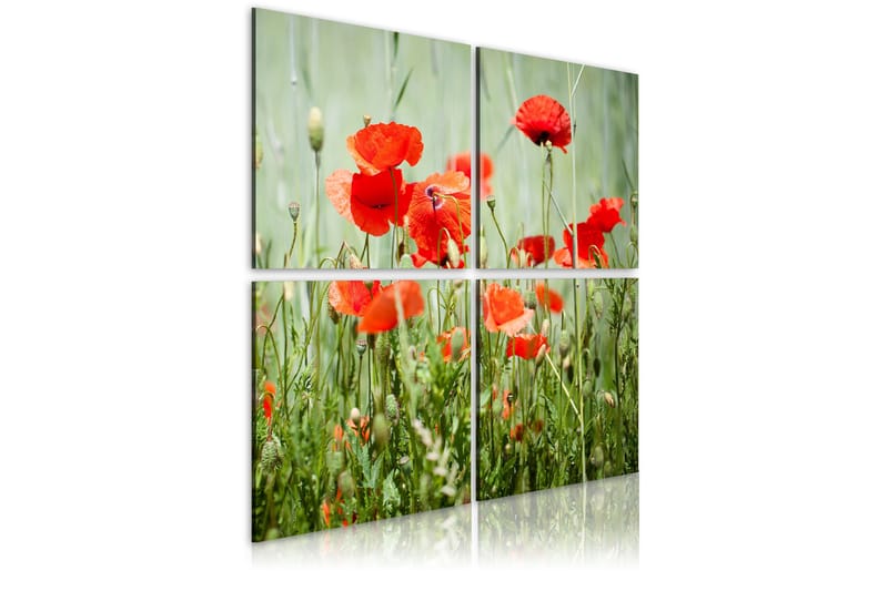 Tavla Springtime 80x80 - Artgeist sp. z o. o. - Inredning - Tavlor & konst - Canvastavlor