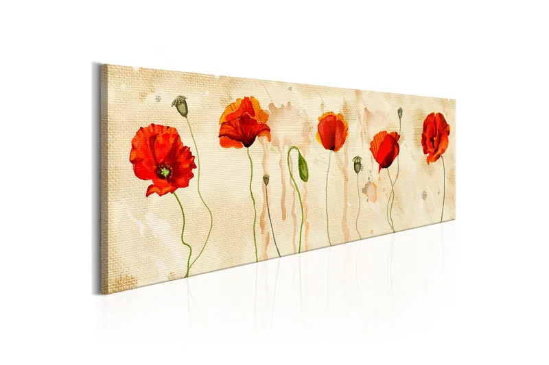 Tavla Tears Of Poppies 120x40 - Artgeist sp. z o. o. - Inredning - Tavlor & konst - Canvastavlor