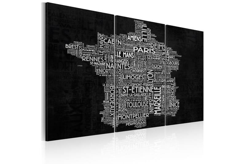 Tavla Text Map Of France Triptych 120x80 - Artgeist sp. z o. o. - Inredning - Tavlor & konst - Canvastavlor