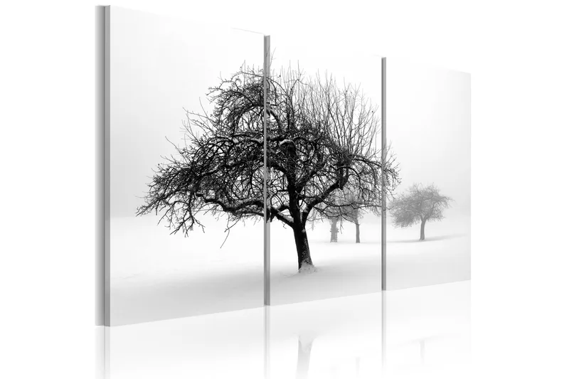 Tavla Trees Submerged In White 60x40 - Artgeist sp. z o. o. - Inredning - Tavlor & konst - Canvastavlor