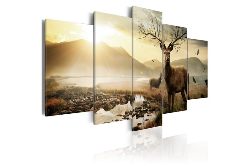 Tavla Tundra And Deer 100x50 - Artgeist sp. z o. o. - Inredning - Tavlor & konst - Canvastavlor