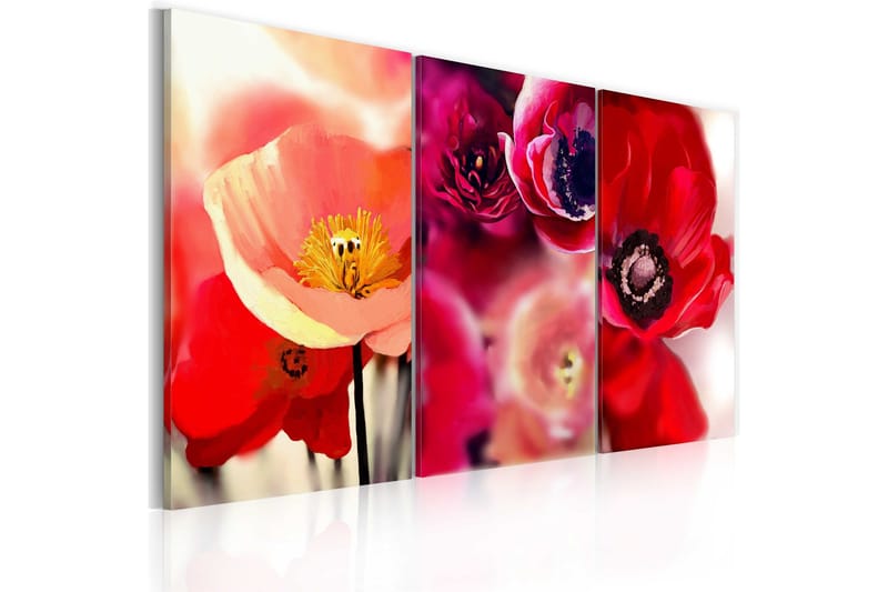 Tavla Vallmo tre perspektiv 90x60 - Artgeist sp. z o. o. - Inredning - Tavlor & konst - Canvastavlor
