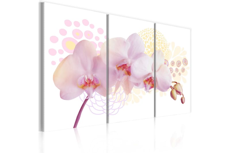 Tavla White Lady 60x40 - Artgeist sp. z o. o. - Inredning - Tavlor & konst - Canvastavlor