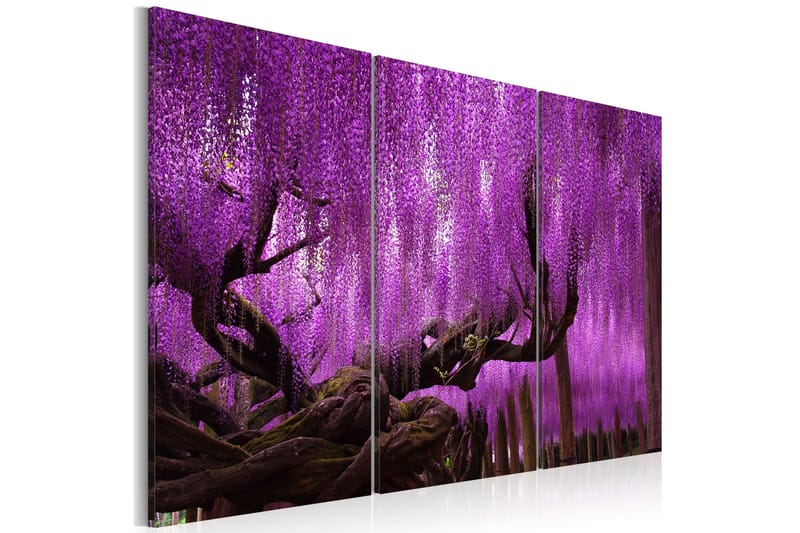Tavla Wisteria 90x60 - Artgeist sp. z o. o. - Inredning - Tavlor & konst - Canvastavlor