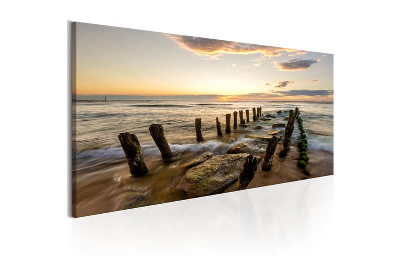 Tavla Wooden Breakwaters 150x50 - Inredning - Tavlor & konst - Canvastavlor