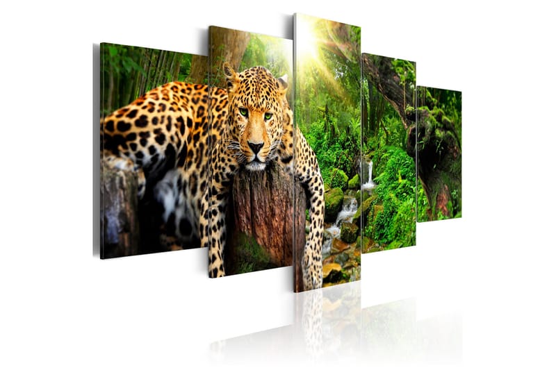 Tavla Predator's Relaxation 100x50 - Artgeist sp. z o. o. - Inredning - Tavlor & konst - Canvastavlor