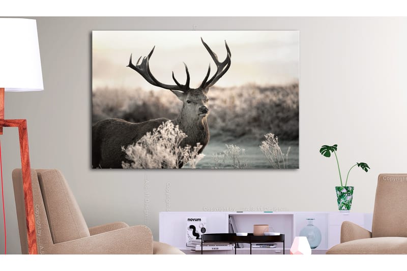 Tavla Powerful Horns 120x80 - Artgeist sp. z o. o. - Inredning - Tavlor & konst - Canvastavlor