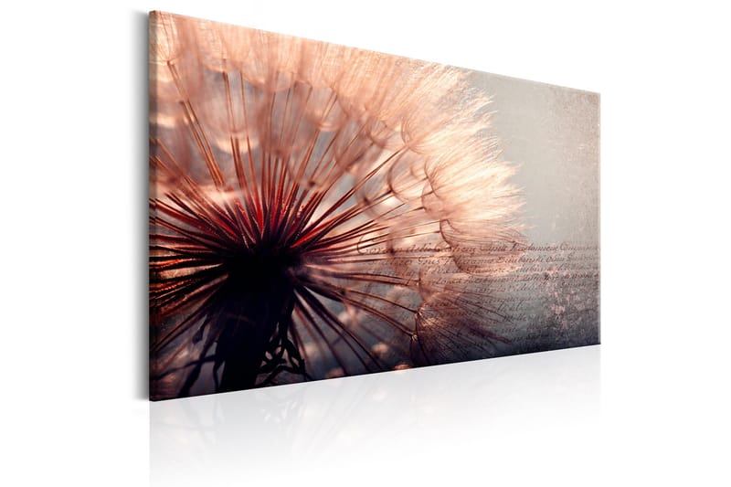 Tavla Pink Gentleness 90x60 - Artgeist sp. z o. o. - Inredning - Tavlor & konst - Canvastavlor
