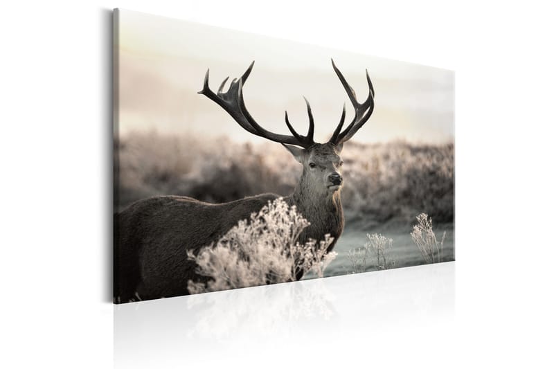 Tavla Powerful Horns 120x80 - Artgeist sp. z o. o. - Inredning - Tavlor & konst - Canvastavlor