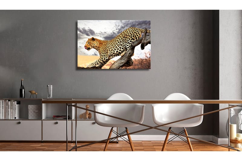 Tavla Predatory Stare 120x80 - Artgeist sp. z o. o. - Inredning - Tavlor & konst - Canvastavlor
