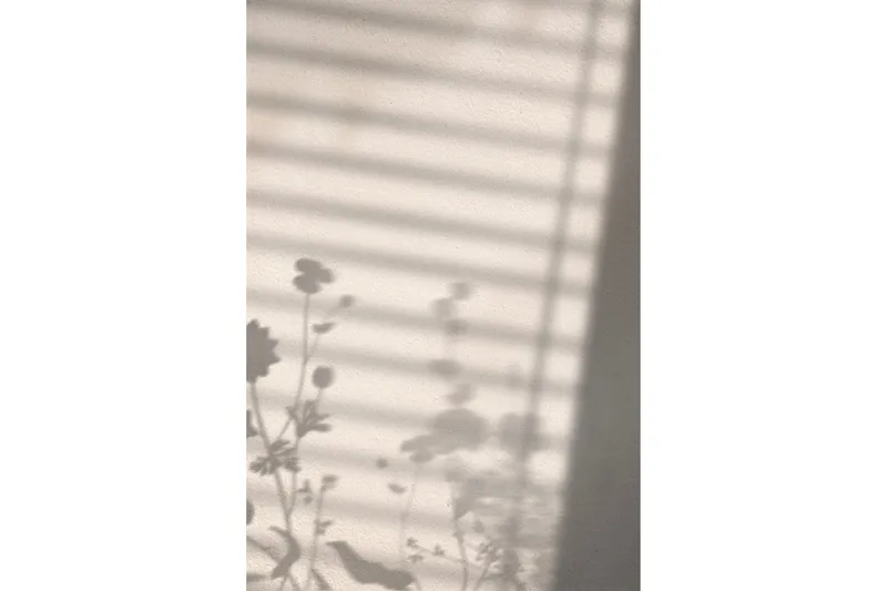 Poster Flower Shadow 50x70 cm, Vit