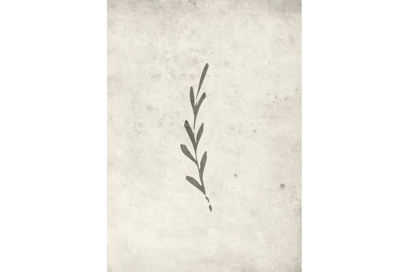 Poster Autumn leaf 50x70 cm - Beige - Inredning - Tavlor & konst - Posters & prints