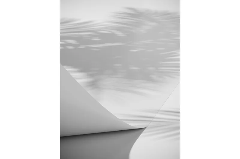 Poster Papyrus 30x40 cm - Vit - Inredning - Tavlor & konst - Posters & prints