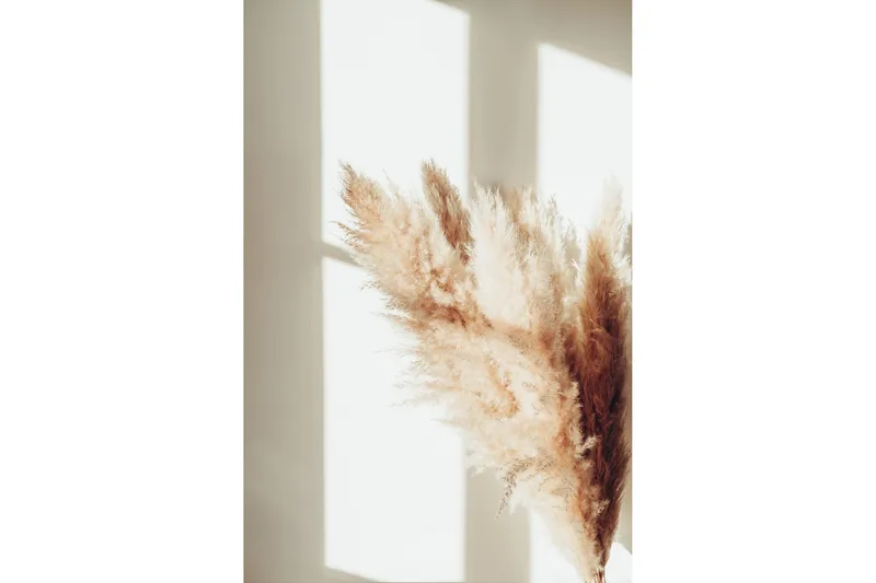 Poster Pampas 70x100 cm - Beige - Inredning - Tavlor & konst - Posters & prints
