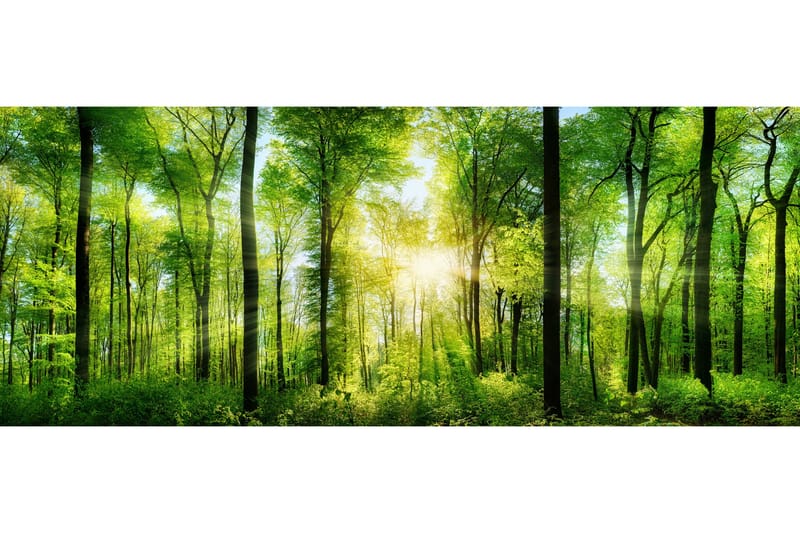 Tavla Forest - 50x125 cm - Inredning - Tavlor & konst