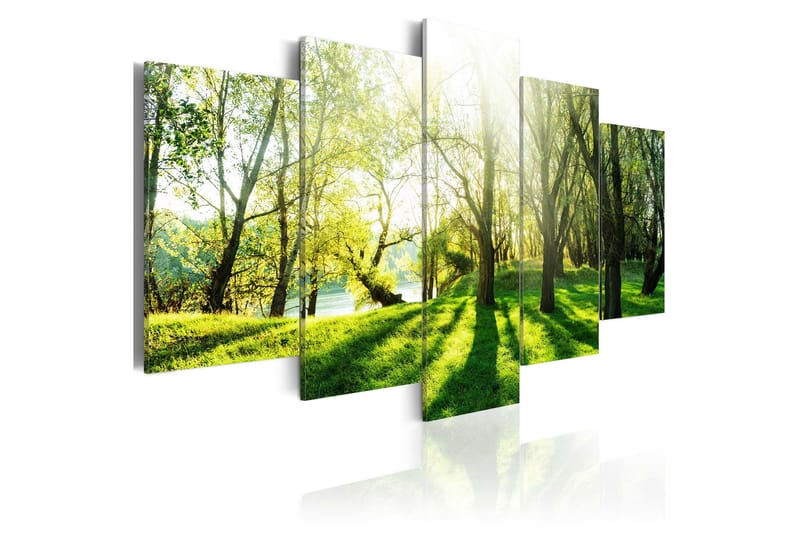 Tavla Green Glade 200x100 - Artgeist sp. z o. o. - Inredning - Tavlor & konst - Canvastavlor