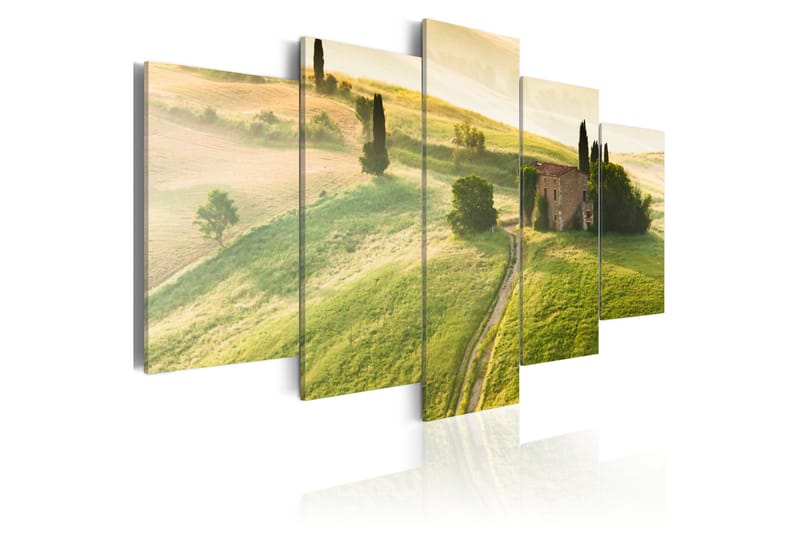 Tavla Green Tuscany 200x100 - Artgeist sp. z o. o. - Inredning - Tavlor & konst - Canvastavlor
