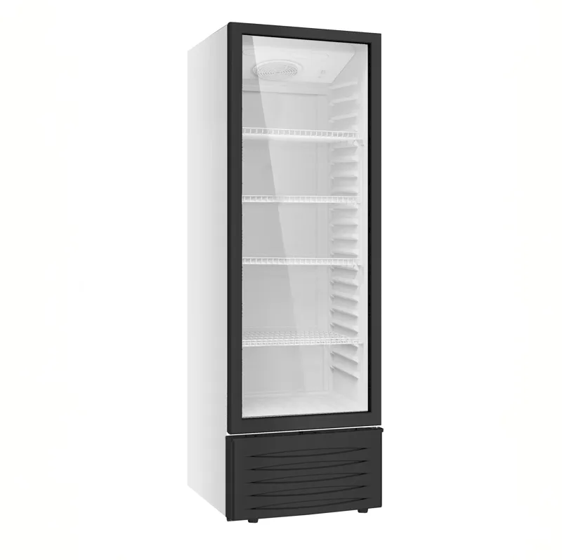 Displaykyl 262L | Energieffektiv & låsbar dryckeskyl | LED-belysning, Svart/Vit